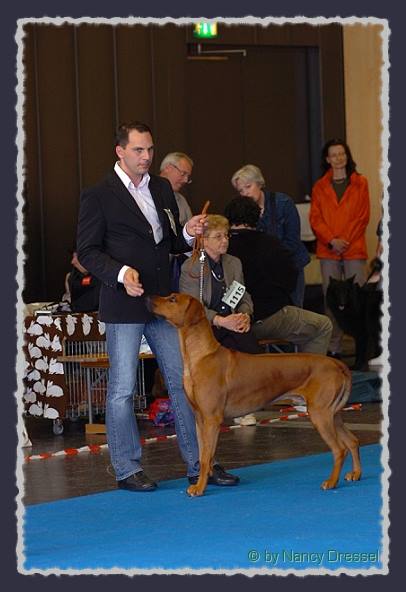 CH. Heshima ya Kimba Energy of Red � by Nancy Dressel
